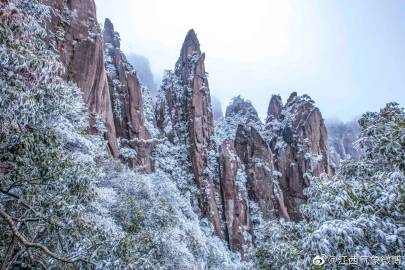 三清山奇幻雪景入云海