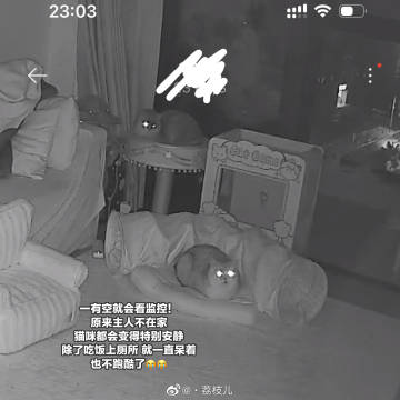 荔荔子のplog